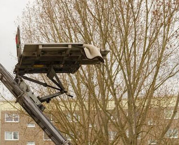 Möbellift in Görlitz Möbellift in Görlitz: Möbellift zwischen kahlen Bäumen vor einem Gebäude