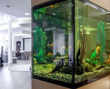 Aquarium-Umzug Görlitz Aquarium-Umzug Görlitz: Großes Aquarium in einem modernen Wohnzimmer