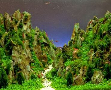 Aquarium-Umzug Görlitz Aquarium-Umzug Görlitz: Aquarium mit Felslandschaft und Pflanzen